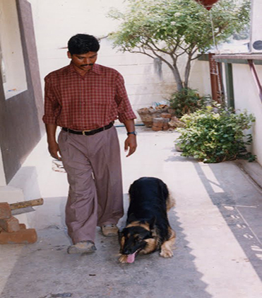 dog