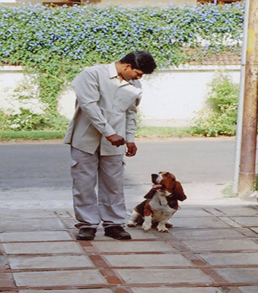dog
